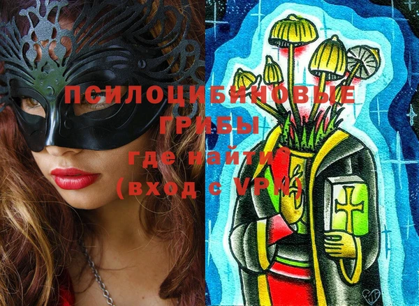 индика Кукмор