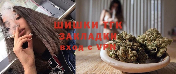индика Кукмор
