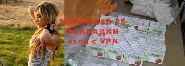 индика Кукмор