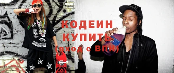 индика Кукмор
