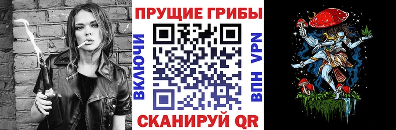 Галлюциногенные грибы Psilocybine cubensis  Купить  Серафимович 